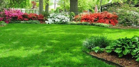 You Can Choose a Landscaper Melbourne Based on the Services that they Offer