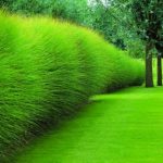 Advantages and Disadvantages of Fake Grass