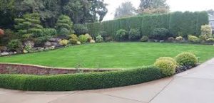 Landscaping Melbourne
