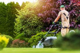 lawn mowing Balwyn