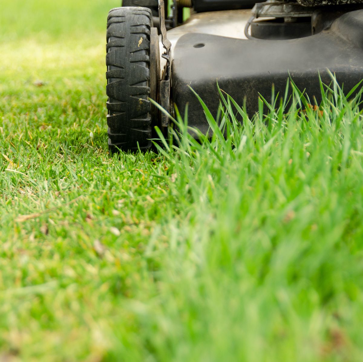 lawn mowing Preston