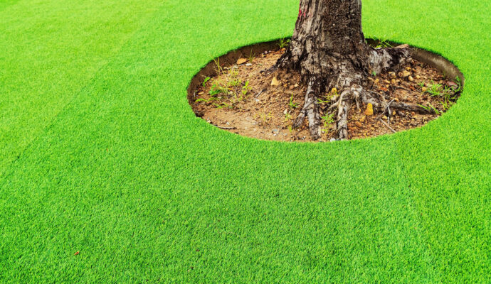 synthetic grass Torquay