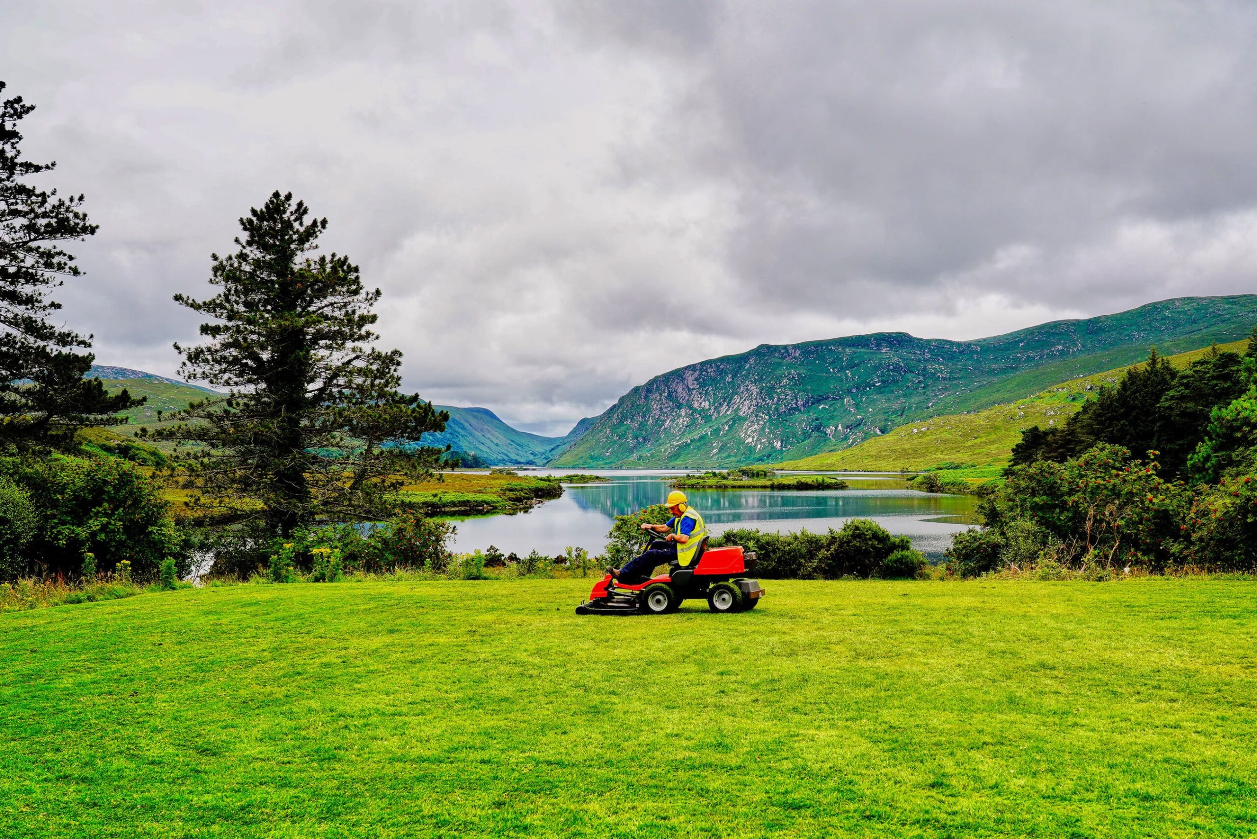 landscapers Paddington