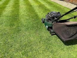 lawn mowing Burwood